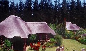 Coral Tree Cottages