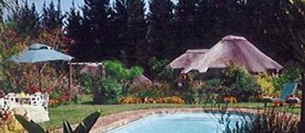 Coral Tree Cottages Pool