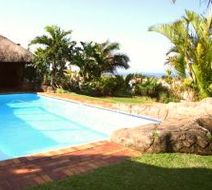 Royal Palm B&B Pool