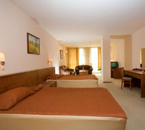 Hotel Plaza Room