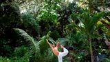 Anantara Maia Seychelles Villas Health