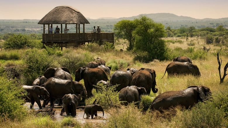 <b>Morukuru Lodge Meeting</b>