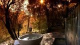 Morukuru Lodge Other