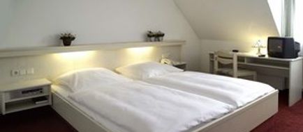 Hotel Restaurant Daucher Room