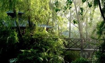 La Becasina Delta Lodge
