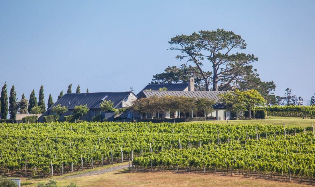 Takatu Lodge and Vineyard Exterior