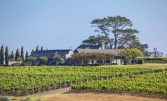 Takatu Lodge and Vineyard