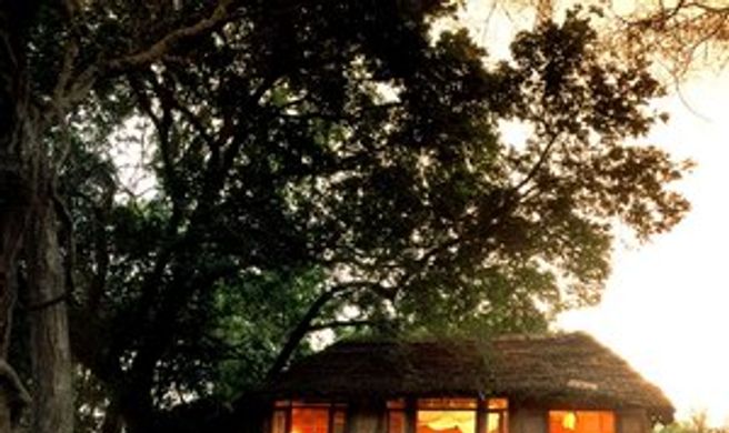 Lake Manyara Tree Lodge Exterior