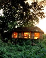 Lake Manyara Tree Lodge