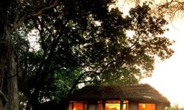 Lake Manyara Tree Lodge