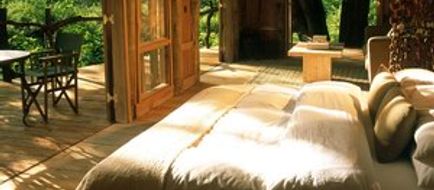 Lake Manyara Tree Lodge Suite