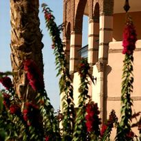 Rose Garden Resort & Spa