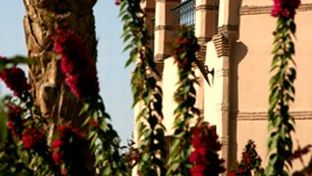 Rose Garden Resort & Spa