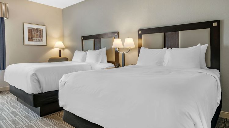 Comfort Inn & Suites Port Charlotte Room