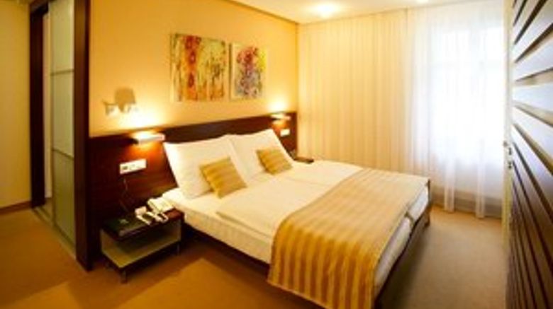 <b>Hotel Michalska Brana Room</b>