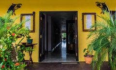 Bocas Paradise Resort Hotel