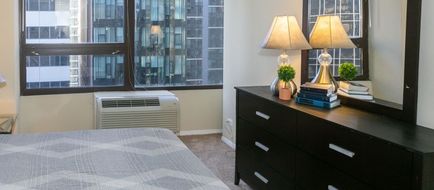 Millennium Park Plaza Room