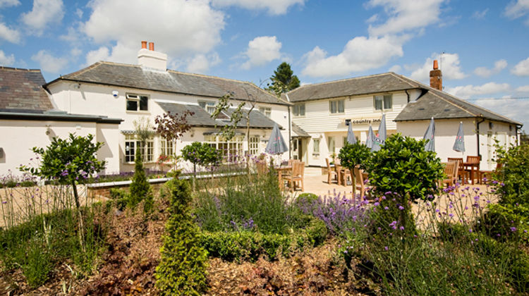 The Chilterns Fox Exterior