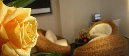 Hotel Panoramic Lobby