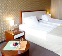Hill Hotel Sofia Room