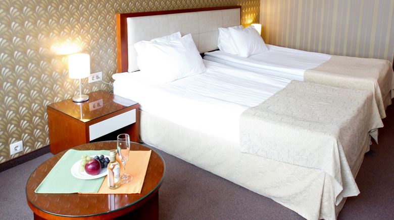 <b>Hill Hotel Sofia Room</b>