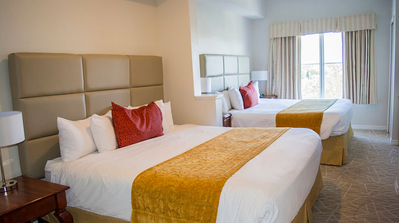 <b>The Point Hotel & Suites Room</b>