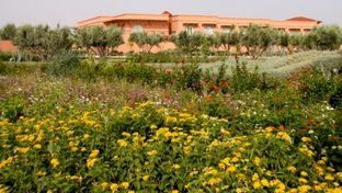 Hotel Vatel Golf & Spa Marrakech