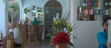 Dolphin Guest House Lobby