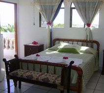 Dolphin Guest House Room
