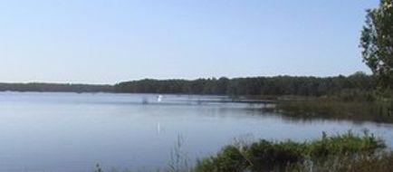 Cabarita Lake Apartments Health