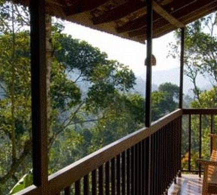 Niraamaya Retreats Cardamom Club Room