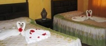 El Delfin Room