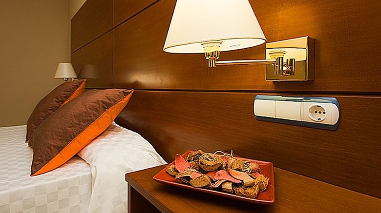 <b>Hotel Eliana Park Room</b>