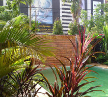 Shining Angkor Boutique Hotel Pool