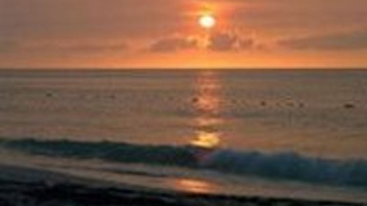 Aruba Harmony Apartments Other