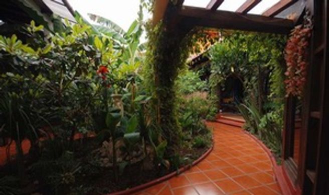 Hotel Jardines del Centro Exterior