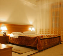 Hotel Baron Room