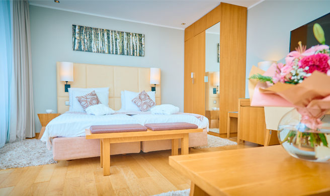 Hotel Astoria Room