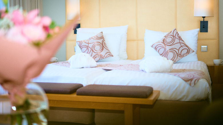 <b>Hotel Astoria Room</b>