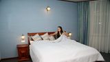 Hotel Zlaty Lev Room