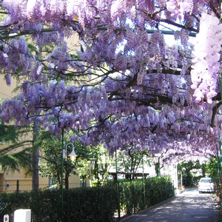 Hotel Capri, Rimini