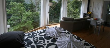 Dantica Cloud Forest Lodge Room