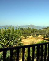 Mandarin & Mango Boutique Hotel