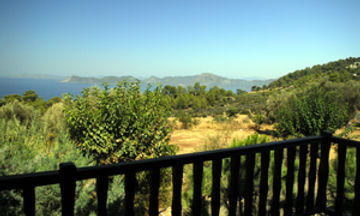 Mandarin & Mango Boutique Hotel