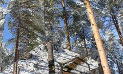 Treehotel