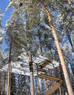 Treehotel