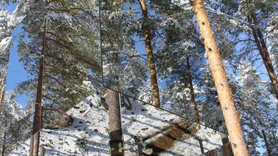 Treehotel