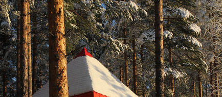 Treehotel Room