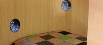 Treehotel Suite