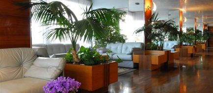 Hotel Ascot Rimini Lobby